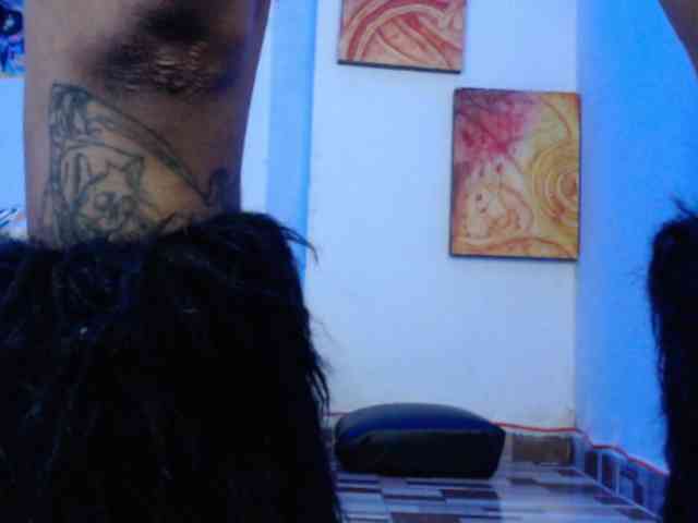dakkohott webcam