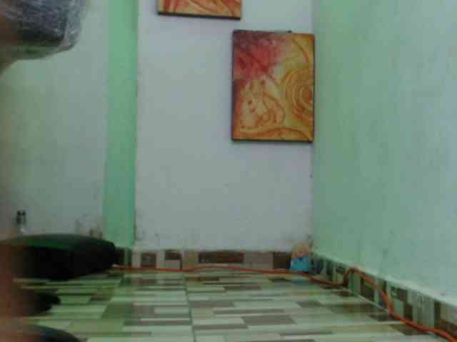 dakkohott webcam