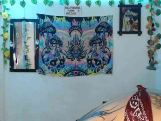 dakkohott webcam