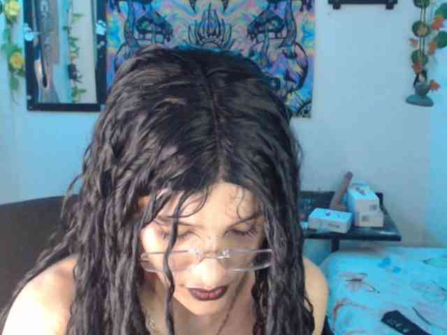 dakkohott webcam