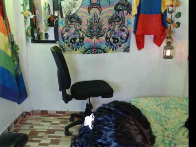 dakkohott webcam