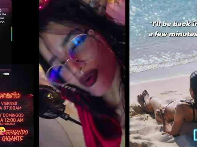 dakkohott webcam