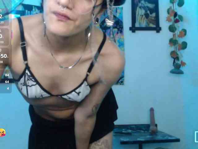 dakkohott webcam
