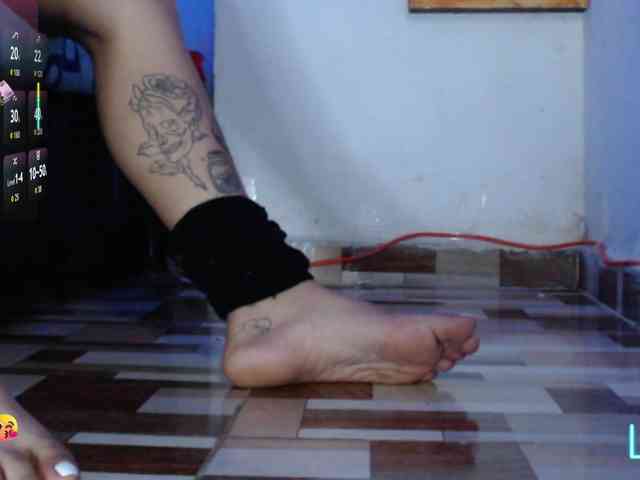 dakkohott webcam