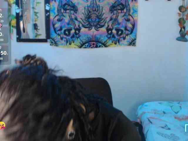 dakkohott webcam