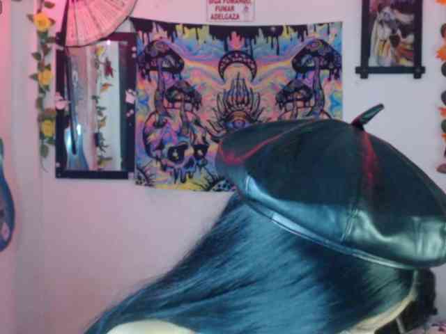 dakkohott webcam