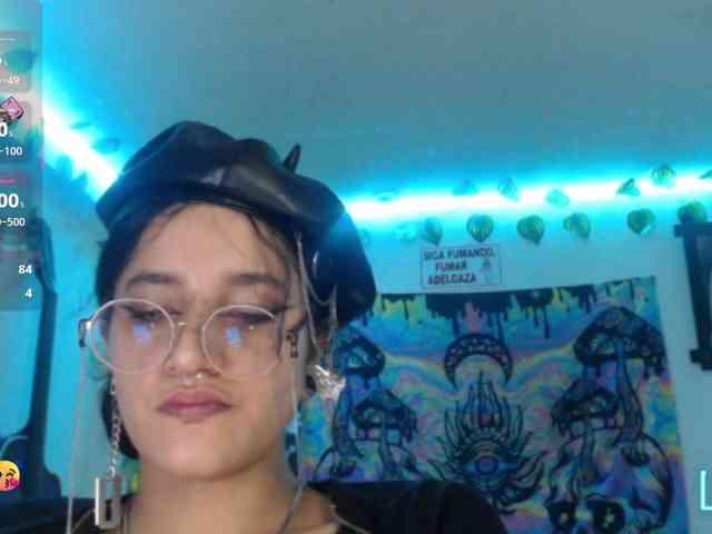dakkohott webcam