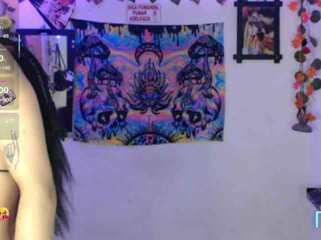 dakkohott webcam