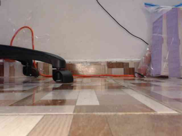dakkohott webcam