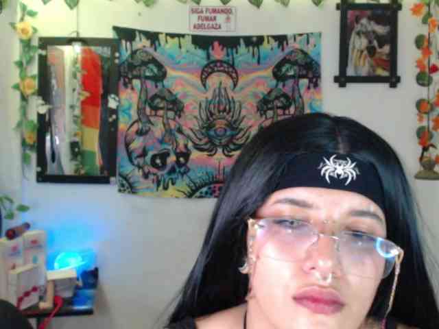 dakkohott webcam