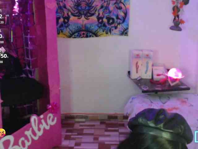 dakkohott webcam