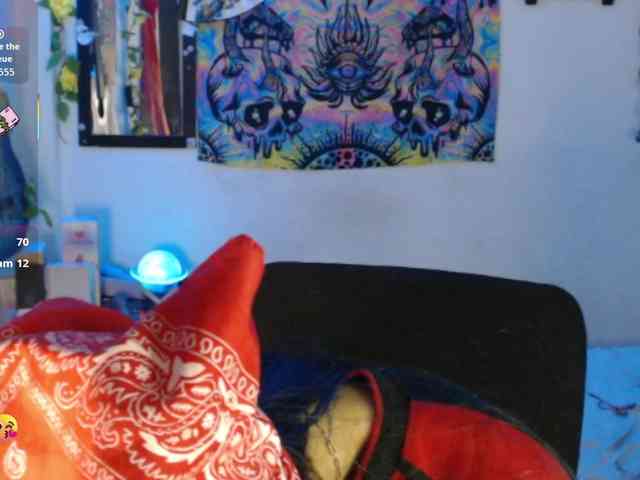dakkohott webcam