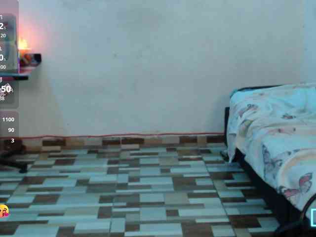 dakkohott webcam