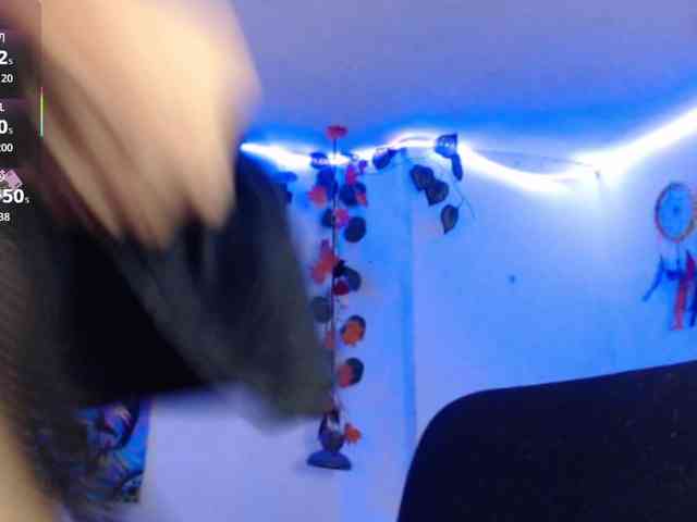 dakkohott webcam
