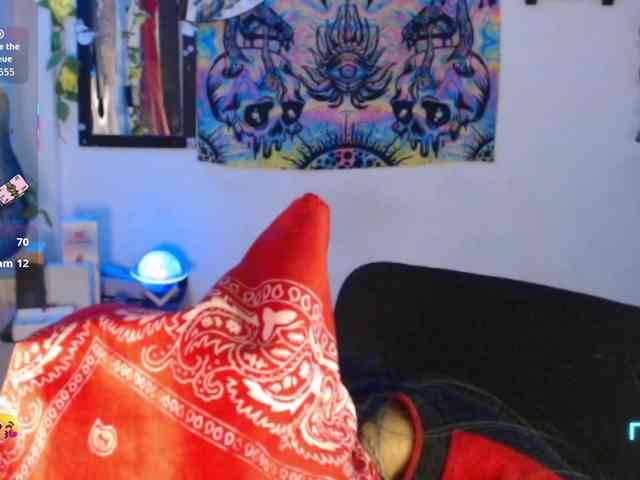 dakkohott webcam