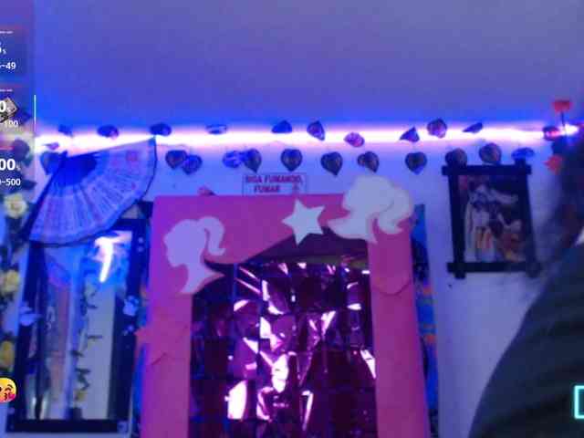 dakkohott webcam
