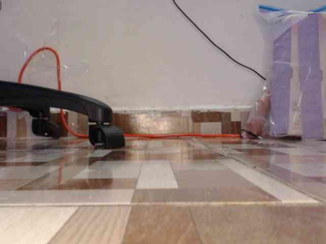 dakkohott webcam