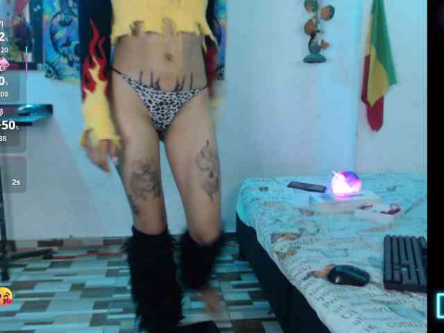 dakkohott webcam