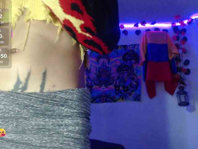 dakkohott webcam