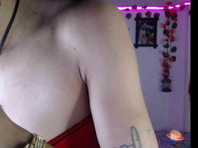 dakkohott webcam
