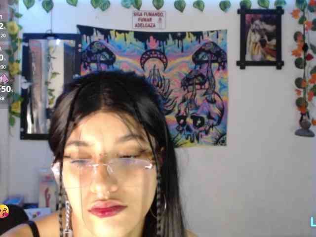 dakkohott webcam