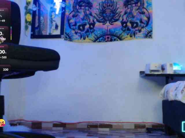 dakkohott webcam
