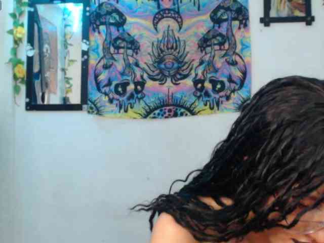 dakkohott webcam