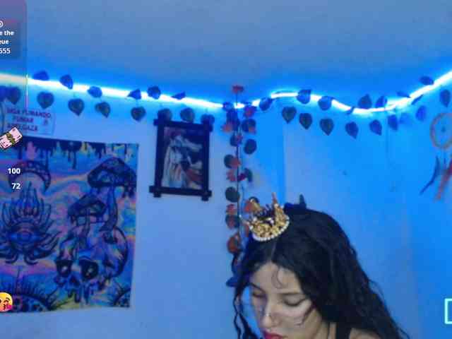 dakkohott webcam
