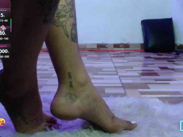 dakkohott webcam