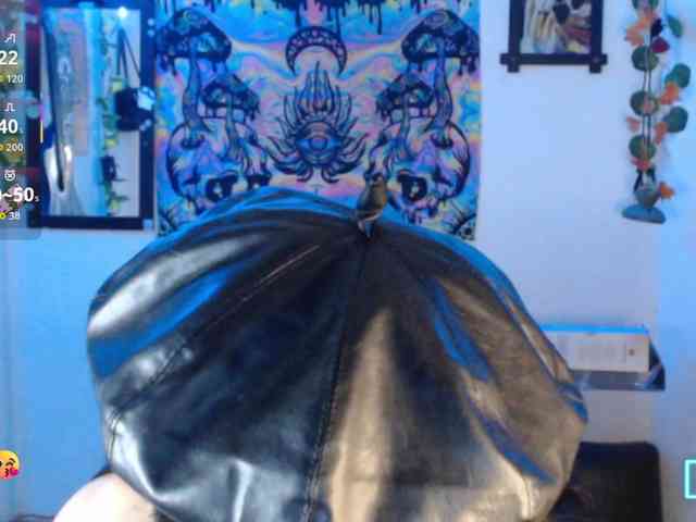 dakkohott webcam