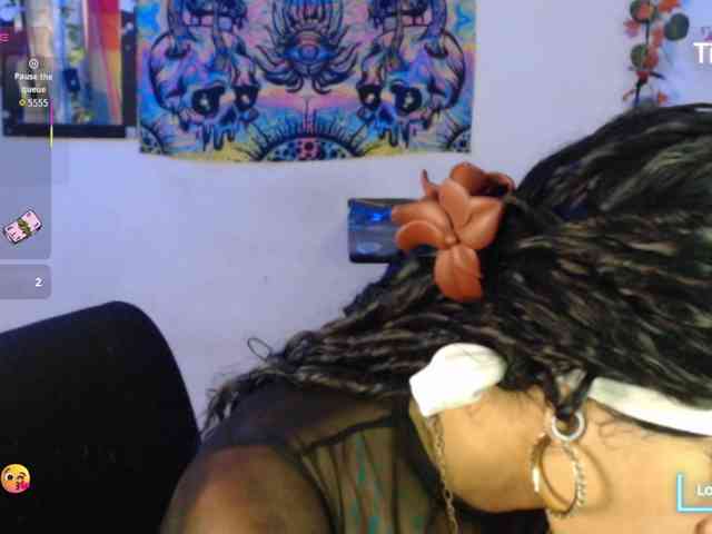 dakkohott webcam
