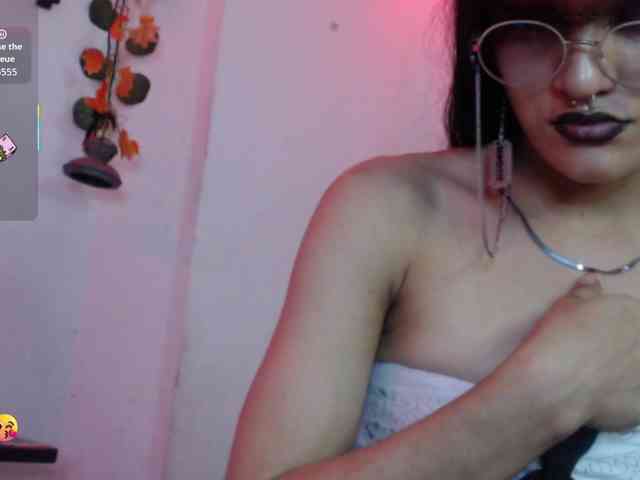 dakkohott webcam