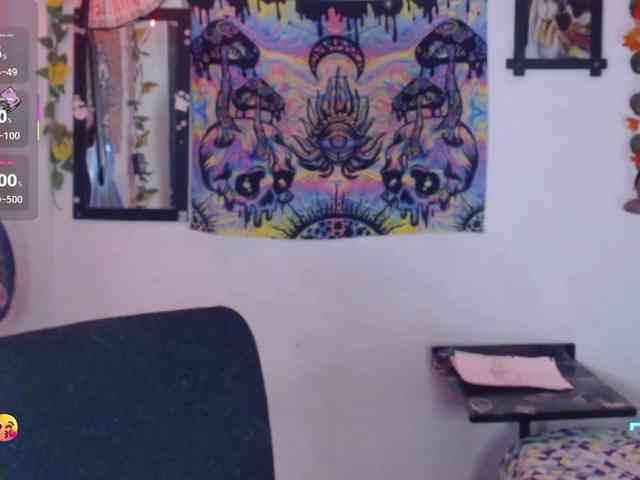 dakkohott webcam