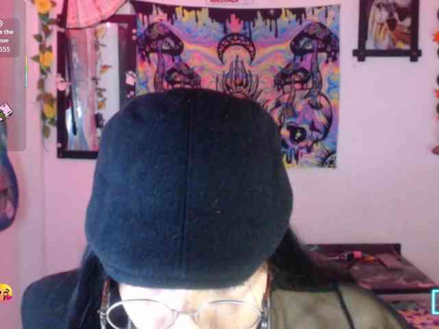 dakkohott webcam