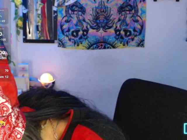 dakkohott webcam