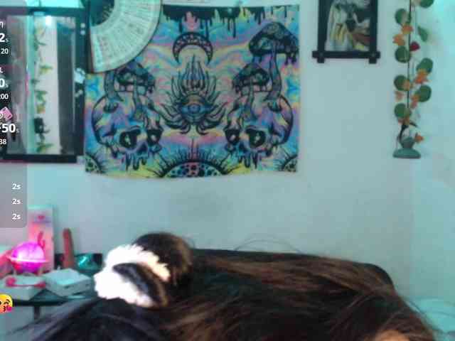dakkohott webcam