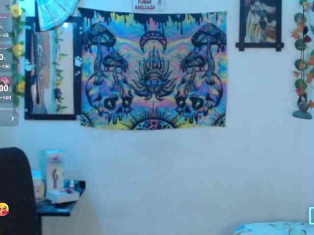 dakkohott webcam