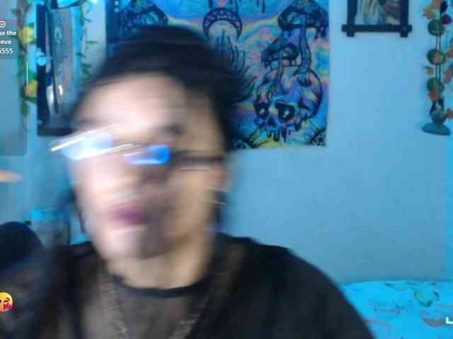 dakkohott webcam