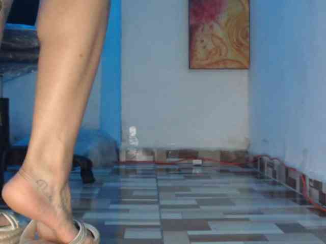 dakkohott webcam