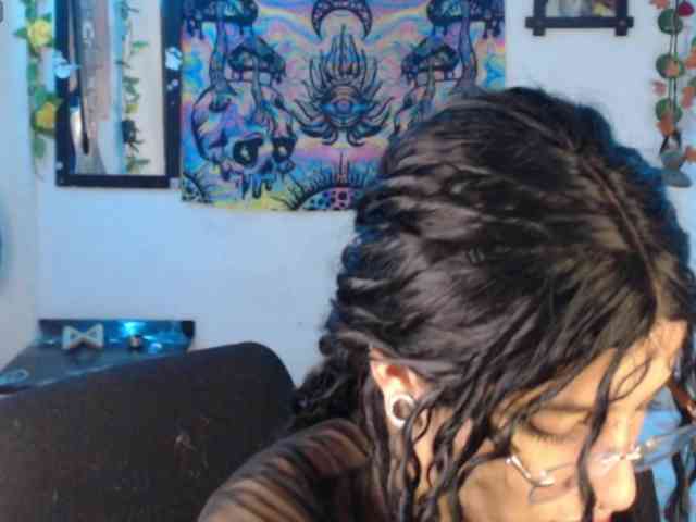 dakkohott webcam