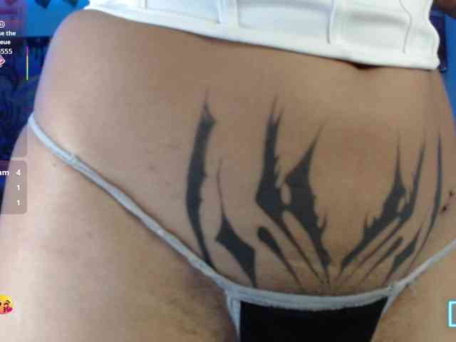dakkohott webcam