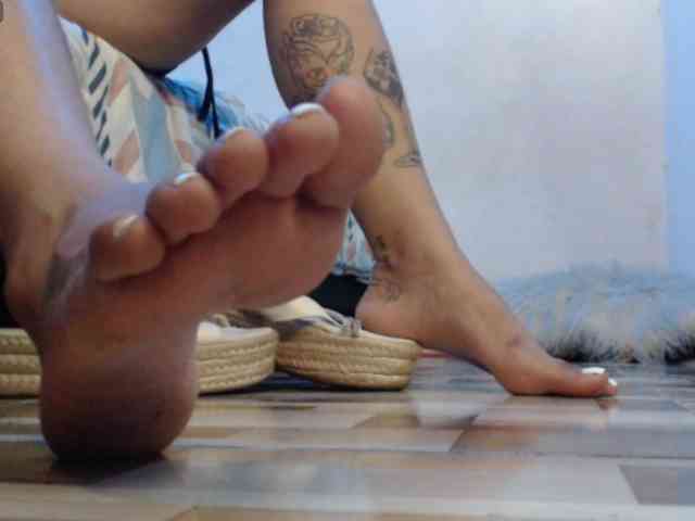 dakkohott webcam