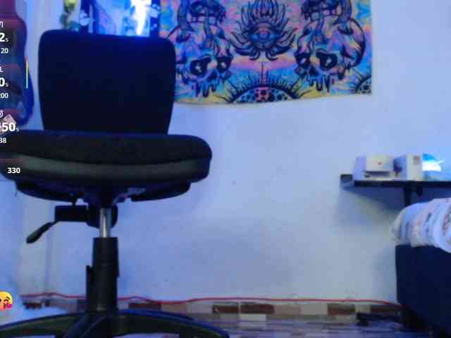 dakkohott webcam