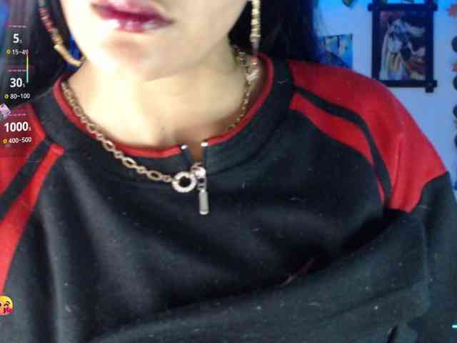 dakkohott webcam