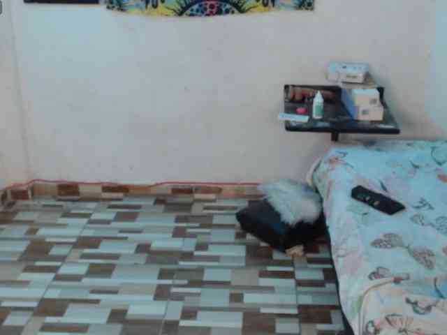 dakkohott webcam