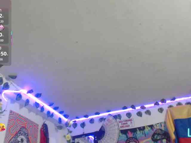 dakkohott webcam