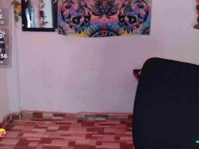 dakkohott webcam