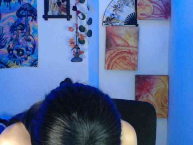 dakkohott webcam