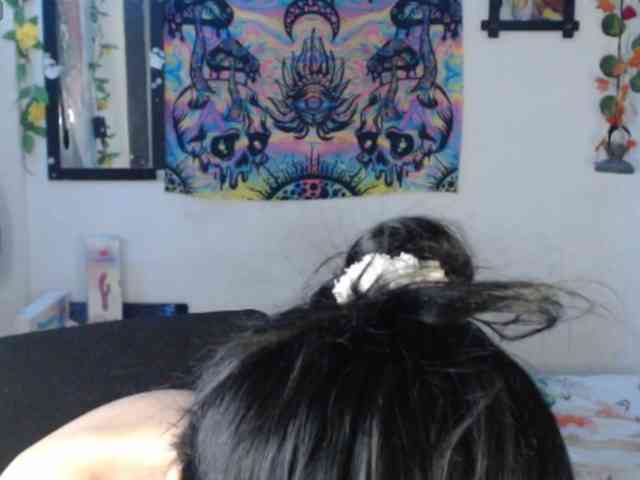 dakkohott webcam