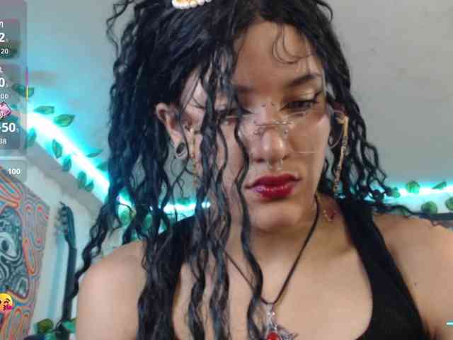 dakkohott webcam